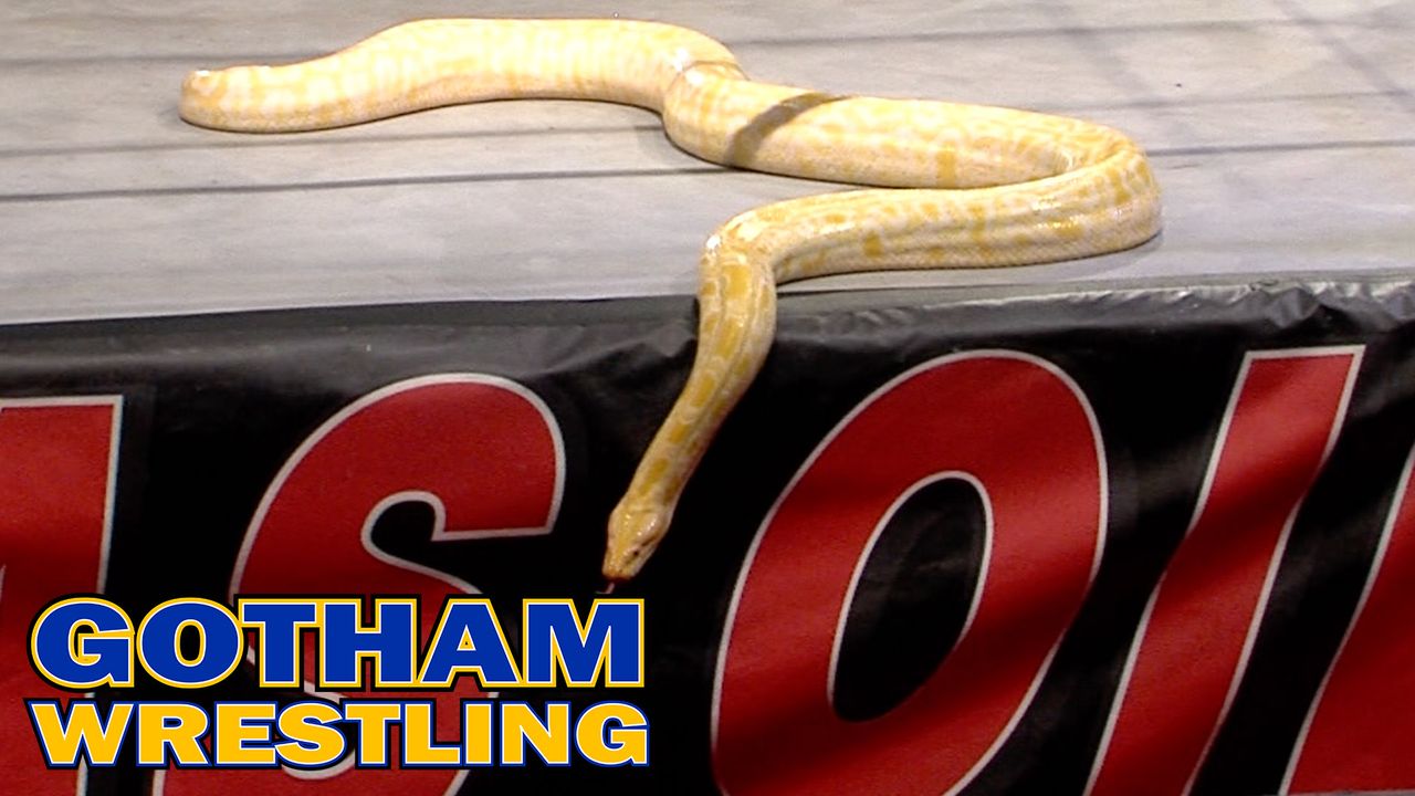 UWN Gotham Wrestling: 07/25/26